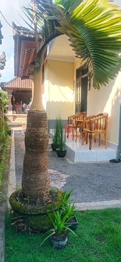 Rindu Homestay Undisan Eksteriør billede